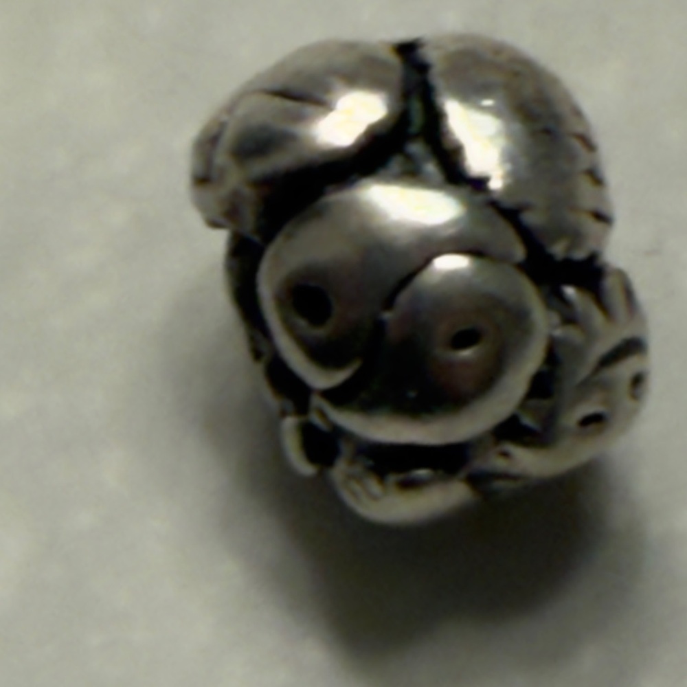 Trollbeads Sterling Silver Symbol’s Charm Retired 2020 - Picture 4 of 7